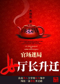 官场迷局:女厅长升迁