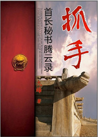 首长秘书腾云录:抓手
