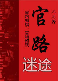 权力世界的欲望诱惑:官路迷途