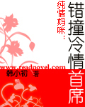 纯情妈咪:错撞冷情首席