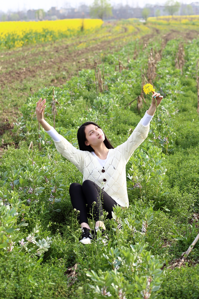 田野花香
